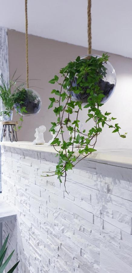 Studio Zen Et Cosy, Neuf En Pleine Ville Saint-Claude Dış mekan fotoğraf